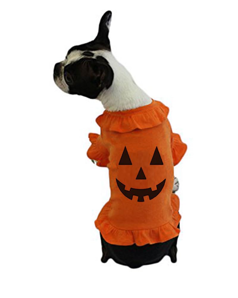 Pet Halloween Costume, Dog Halloween Outfit - Jack O Lantern Dog Costume