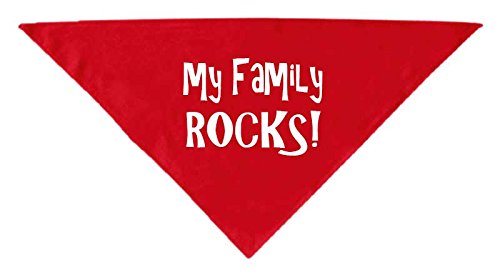 Matching Family T-Shirt - My Family Rocks, Short Sleeve T-Shirt, Red, Youth X-Large(14y)