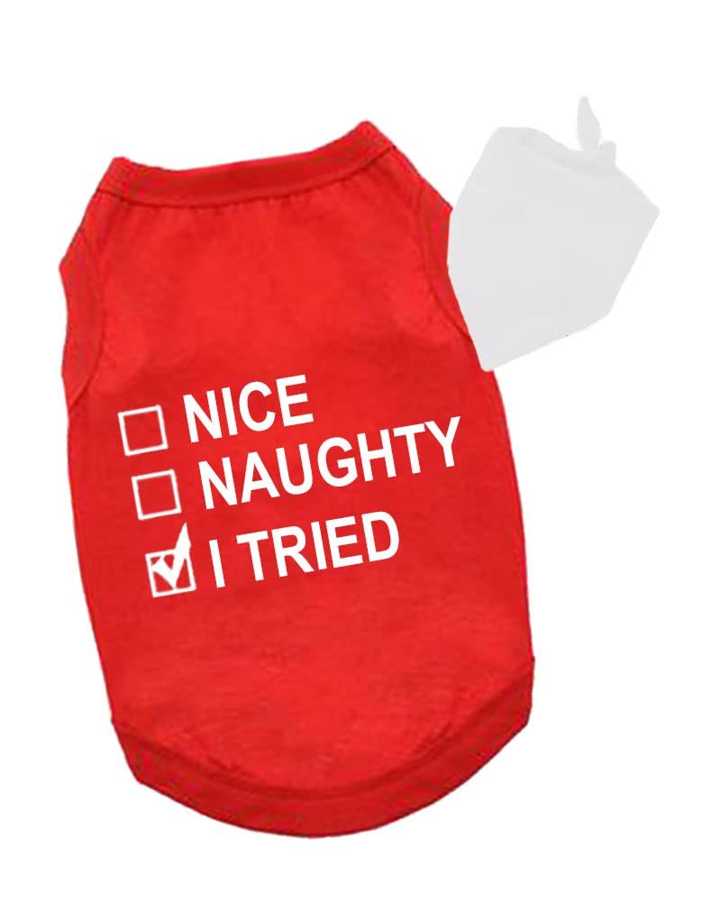 PandoraTees Christmas pet Outfit, Pet Apparel and Bandana, Dog Set -Naughty, Nice, I Tried