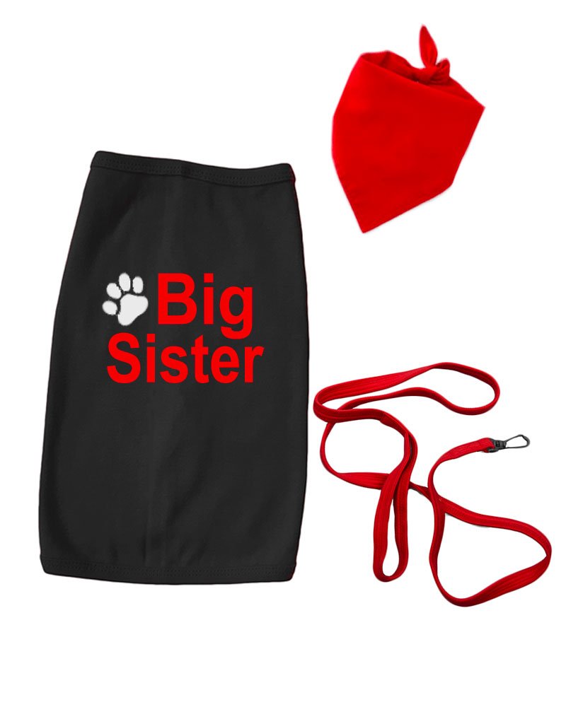 PandoraTees Big Sister Announcement Pet T-Shirt Set