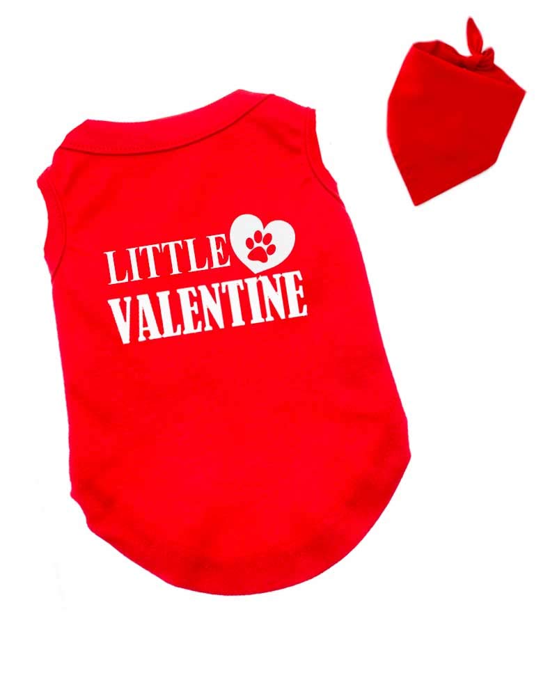 PandoraTees Matching Dog and Owner Outfit -My Dog is My Valentine