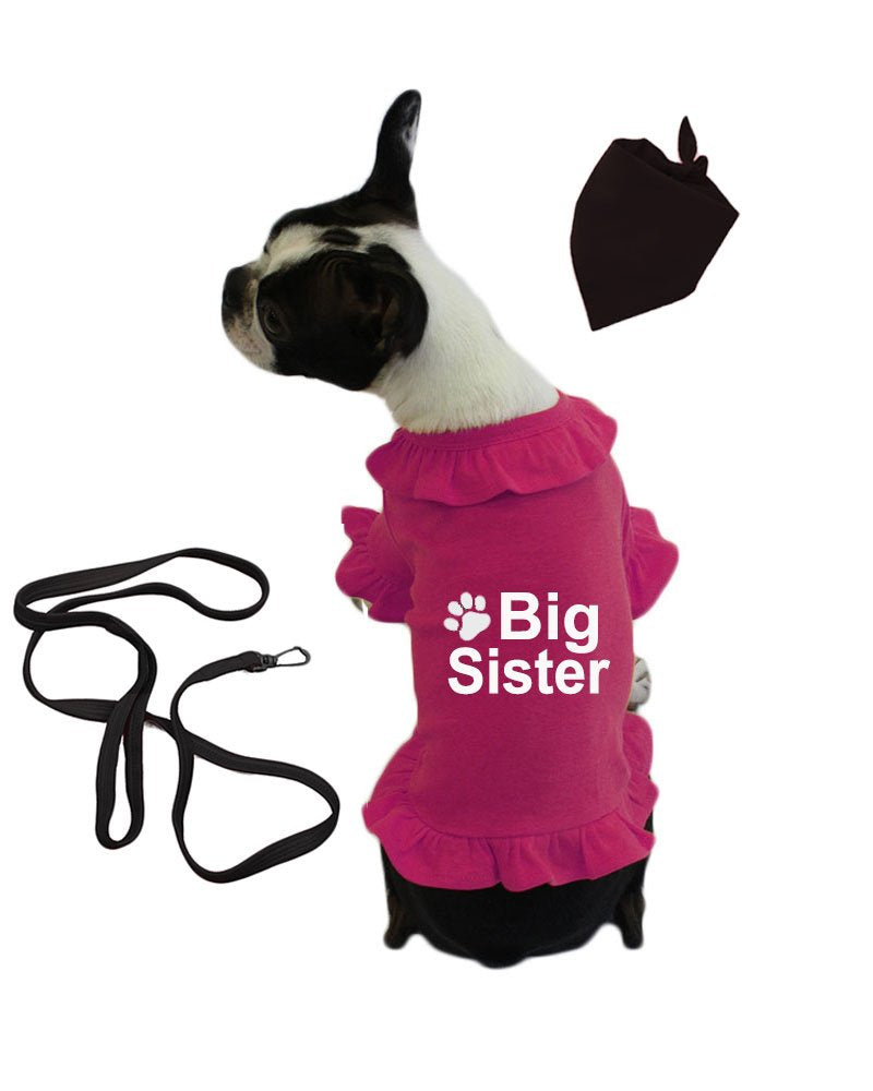 PandoraTees Big Sister Announcement Pet T-Shirt Set