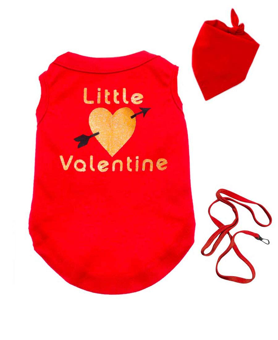 PandoraTees Valentine Dog T-Shirt - Little Valentine