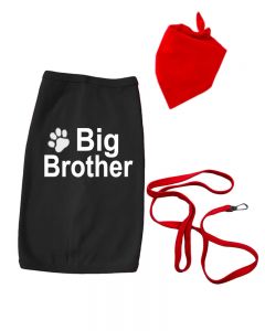Big Brother Announcement Pet T-Shirt Set 